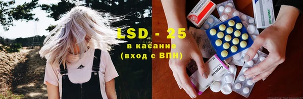 spice Алзамай